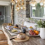 Assa -mykonos Villa Kalo Livadi