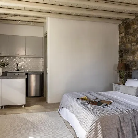 Villa Assa -mykonos Kaló Livádi