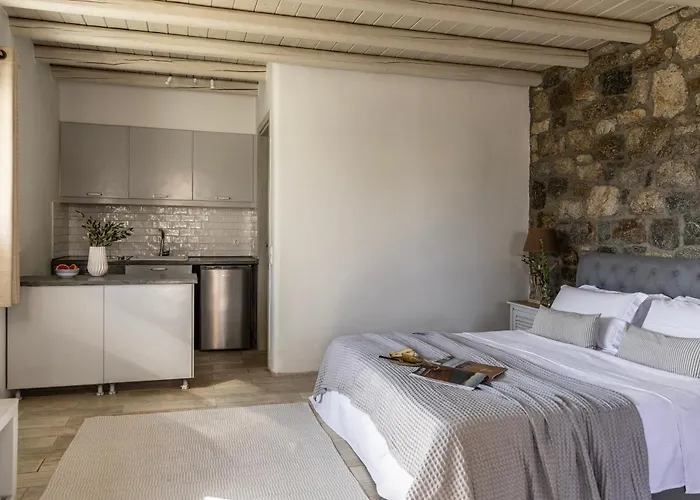 Vila Assa -mykonos Kalo Livadi