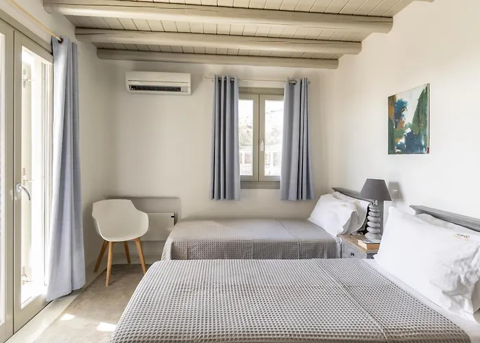 Assa -mykonos Vila Kalo Livadi