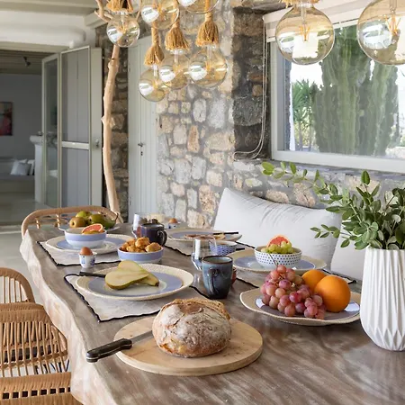 Assa -mykonos Villa Kalo Livadi